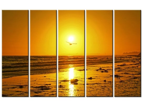 Obraz Mewa w słońcu - Damian Gadal, 5 elementów, 100x63 cm Oobrazy