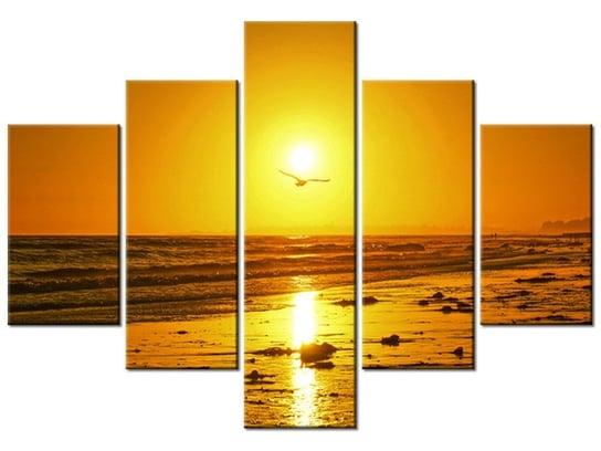 Obraz, Mewa w słońcu - Damian Gadal, 5 elementów, 100x70 cm Oobrazy