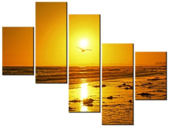 Obraz Mewa w słońcu - Damian Gadal, 5 elementów, 100x75 cm Oobrazy