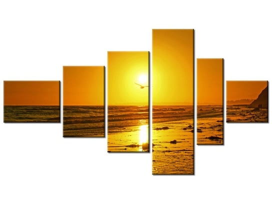 Obraz Mewa w słońcu - Damian Gadal, 6 elementów, 180x100 cm Oobrazy