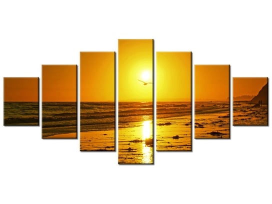 Obraz Mewa w słońcu - Damian Gadal, 7 elementów, 210x100 cm Oobrazy