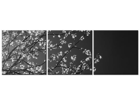 Obraz Młode drzewo - Feans, 3 elementy, 120x40 cm Oobrazy
