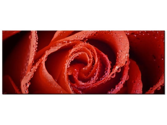 Obraz Mocna czerwień, 100x40 cm Oobrazy