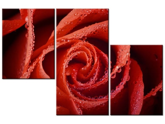 Obraz Mocna czerwień, 3 elementy, 90x60 cm Oobrazy