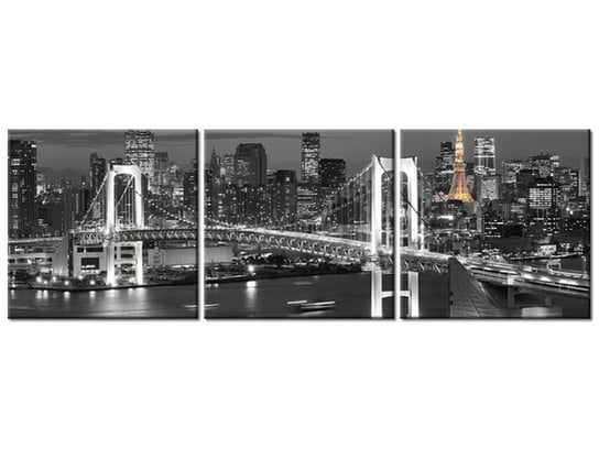 Obraz Most Tęczowy w Tokio, 3 elementy, 120x40 cm Oobrazy