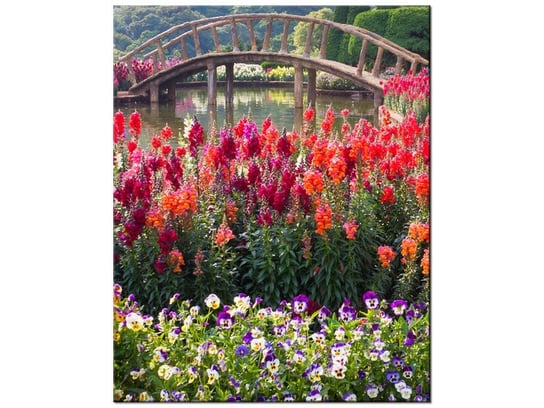 Obraz Mostek wśród kwiatów, 60x75 cm Oobrazy