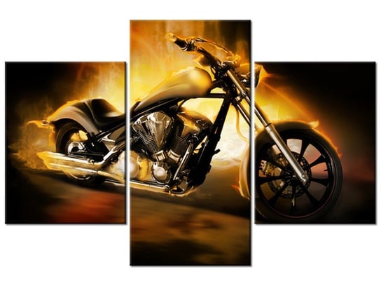 Obraz, Motocykl w ogniu, 3 elementy, 90x60 cm Oobrazy