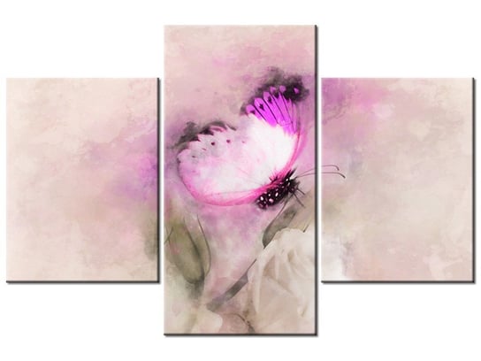 Obraz Motyl i róża, 3 elementy, 90x60 cm Oobrazy