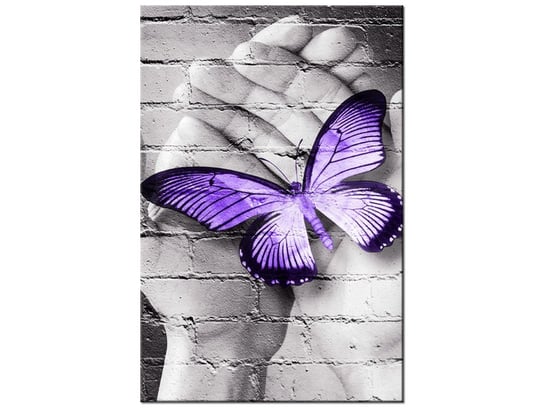 Obraz Motyl na dłoniach, 20x30 cm Oobrazy