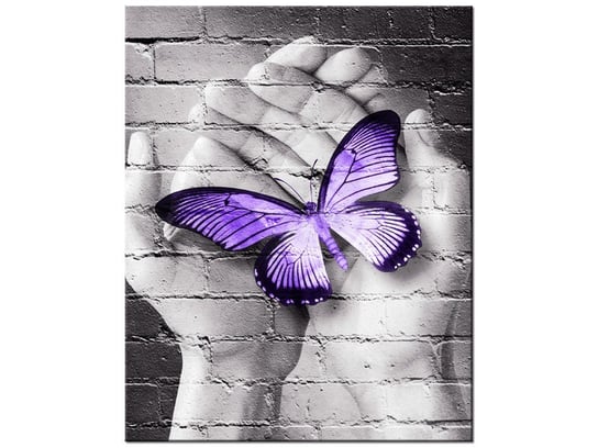 Obraz Motyl na dłoniach, 40x50 cm Oobrazy