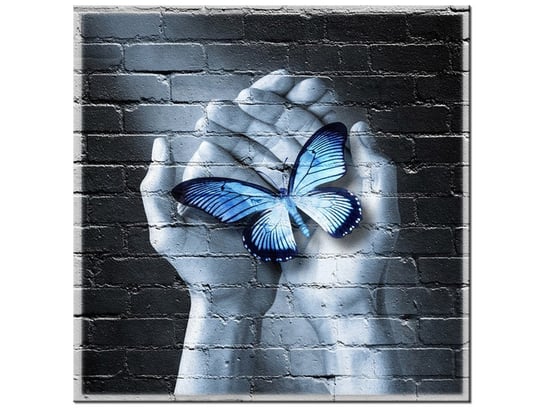 Obraz Motyl na dłoniach, 50x50 cm Oobrazy