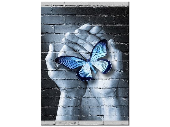 Obraz Motyl na dłoniach, 50x70 cm Oobrazy