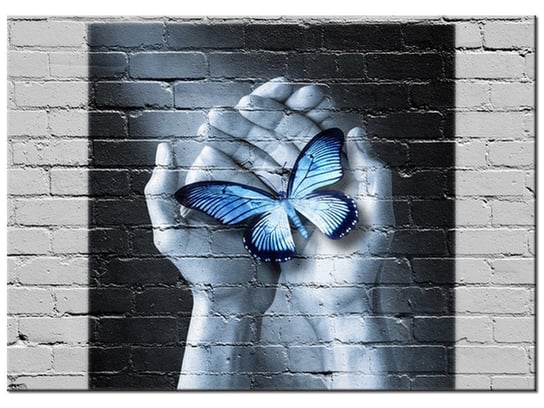 Obraz Motyl na dłoniach, 70x50 cm Oobrazy