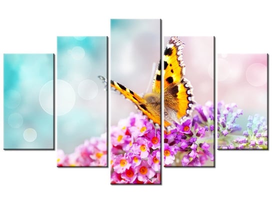 Obraz Motyl na kwiatkach, 5 elementów, 100x63 cm Oobrazy