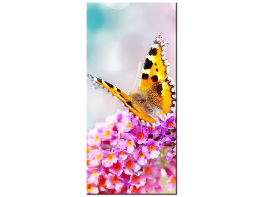 Obraz Motyl na kwiatkach, 55x115 cm Oobrazy
