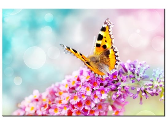 Obraz, Motyl na kwiatkach, 90x60 cm Oobrazy