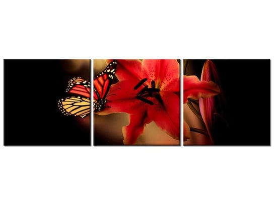 Obraz Motyle i lilia, 3 elementy, 120x40 cm Oobrazy