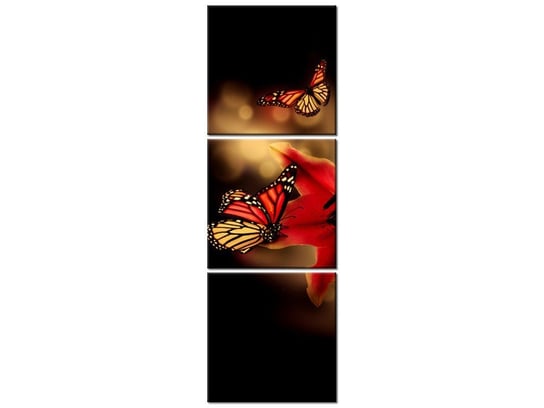 Obraz Motyle i lilia, 3 elementy, 30x90 cm Oobrazy