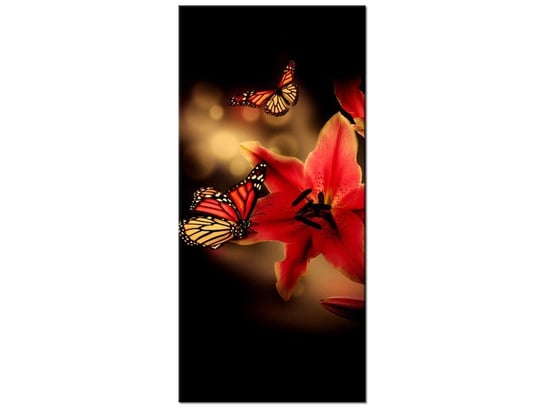 Obraz Motyle i lilia, 55x115 cm Oobrazy