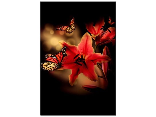 Obraz Motyle i lilia, 80x120 cm Oobrazy