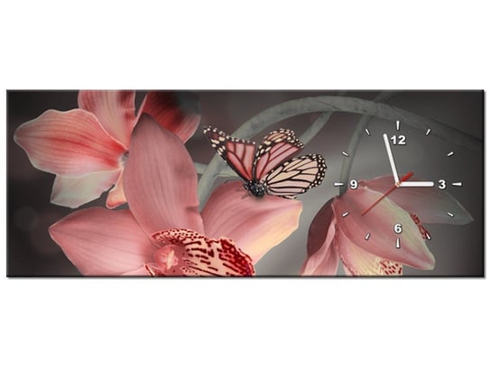 Obraz, Motylek na storczyku, 1 element, 100x40 cm Oobrazy