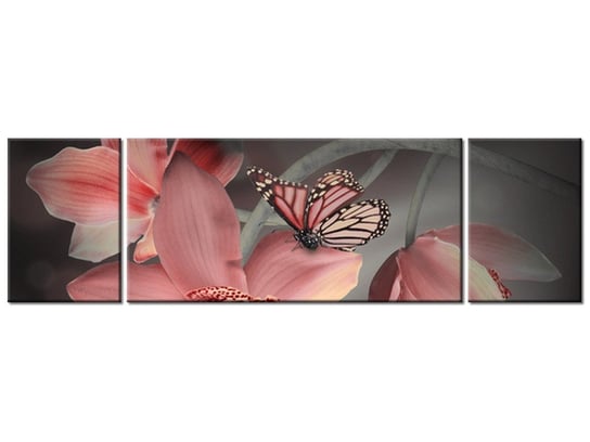 Obraz Motylek na storczyku, 3 elementy, 170x50 cm Oobrazy