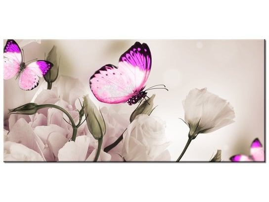 Obraz, Motyli raj, 115x55 cm Oobrazy