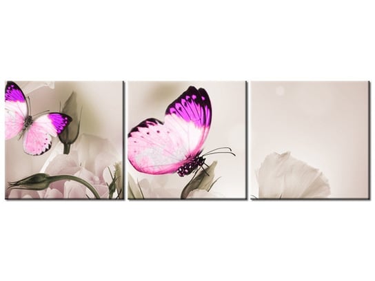 Obraz, Motyli raj, 3 elementy, 90x30 cm Oobrazy