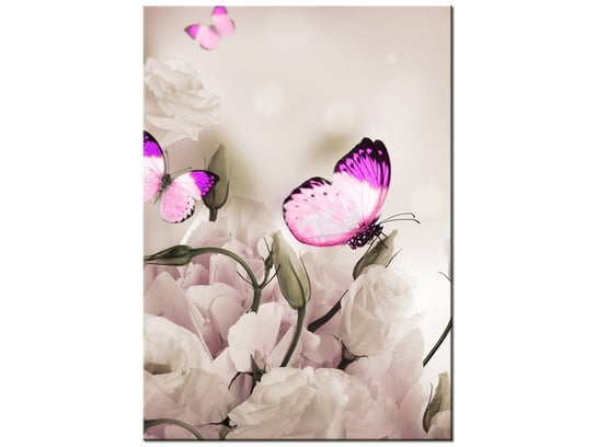 Obraz Motyli raj, 50x70 cm Oobrazy