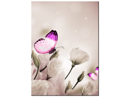 Obraz Motyli raj, 50x70 cm Oobrazy