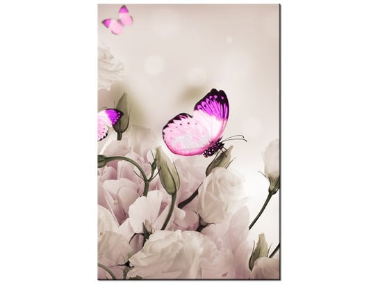 Obraz Motyli raj, 60x90 cm Oobrazy