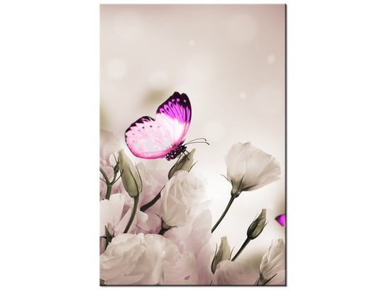 Obraz Motyli raj, 80x120 cm Oobrazy