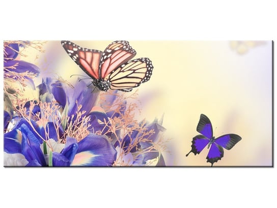 Obraz Motylki, 115x55 cm Oobrazy