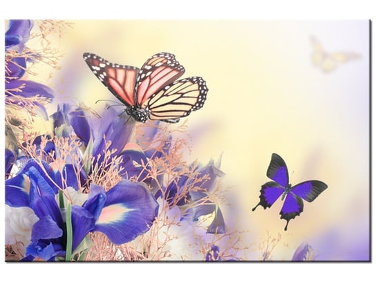 Obraz Motylki, 120x80 cm Oobrazy