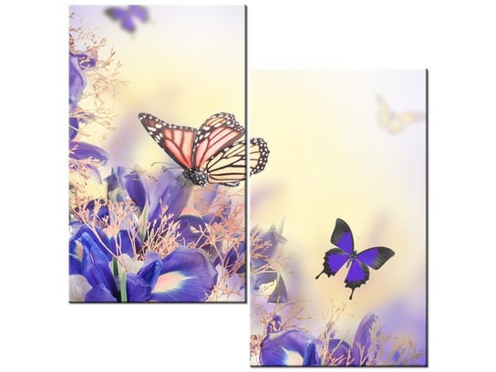 Obraz Motylki, 2 elementy, 60x60 cm Oobrazy