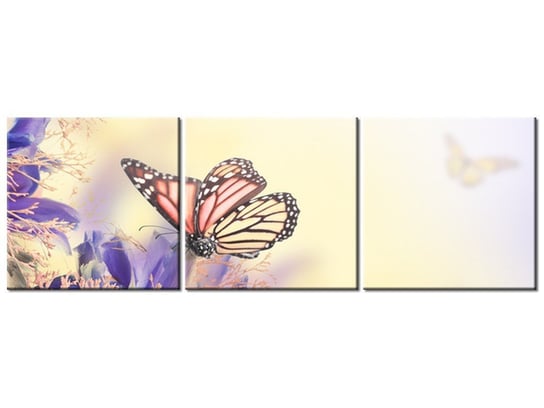 Obraz Motylki, 3 elementy, 150x50 cm Oobrazy