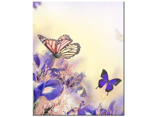 Obraz Motylki, 40x50 cm Oobrazy