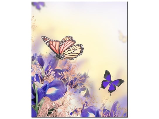 Obraz Motylki, 50x60 cm Oobrazy