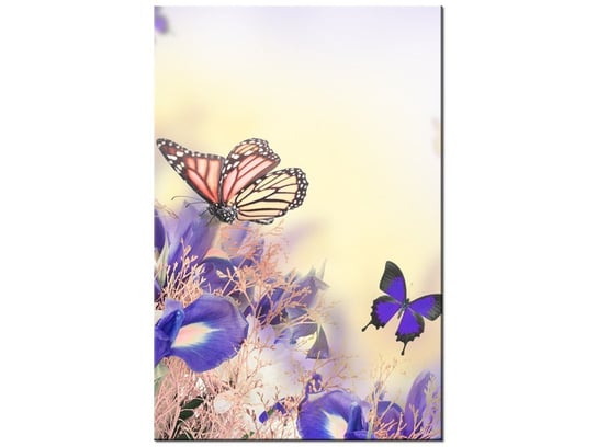 Obraz Motylki, 60x90 cm Oobrazy