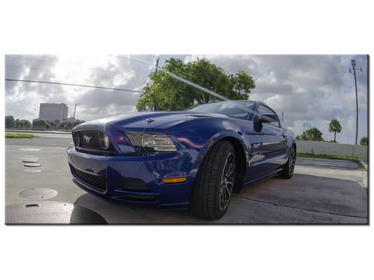 Obraz Mustang - Brett Levin, 115x55 cm Oobrazy
