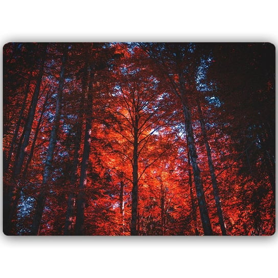 Obraz na metalu FEEBY, Las w świetle zachodzącego słońca, 30x20 cm Feeby