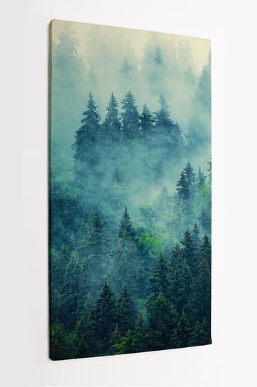 Obraz na płótni HOMEPRINT, mglisty krajobraz górskiego lasu 50x100 cm HOMEPRINT