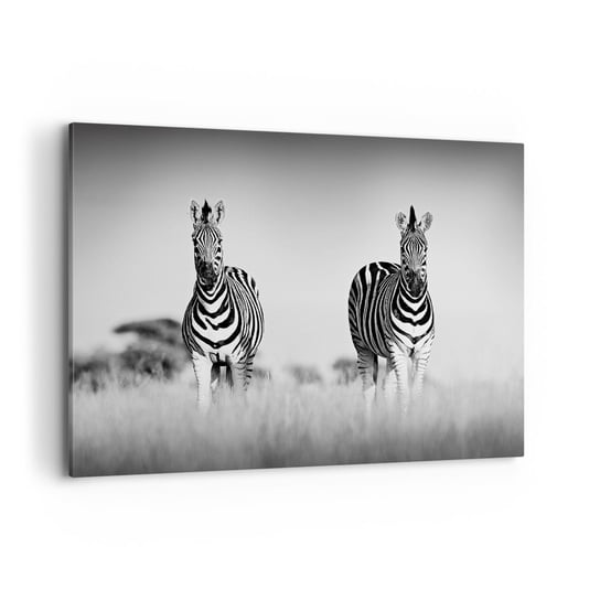 Obraz na płótnie - A jednak świat jest czarno-biały - 120x80cm - Zwierzęta Zebra Czarno-Biały - Nowoczesny obraz na ścianę do salonu do sypialni ARTTOR ARTTOR