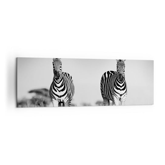 Obraz na płótnie - A jednak świat jest czarno-biały - 160x50cm - Zwierzęta Zebra Czarno-Biały - Nowoczesny foto obraz w ramie do salonu do sypialni ARTTOR ARTTOR