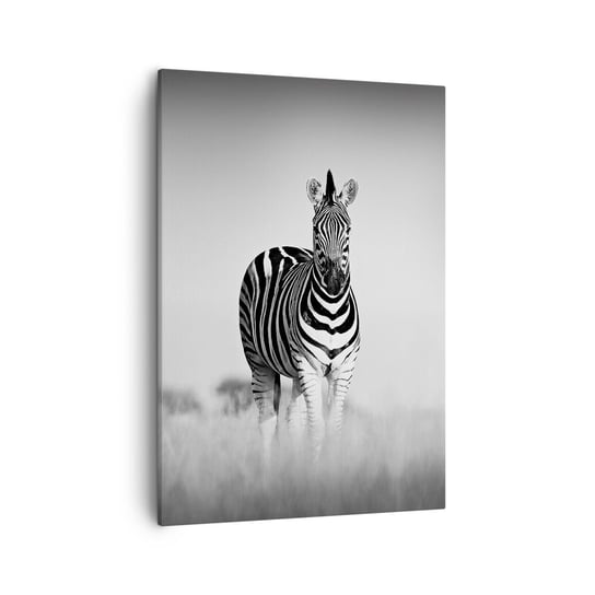 Obraz na płótnie - A jednak świat jest czarno-biały - 50x70cm - Zwierzęta Zebra Czarno-Biały - Nowoczesny Canvas obraz do salonu do sypialni ARTTOR ARTTOR