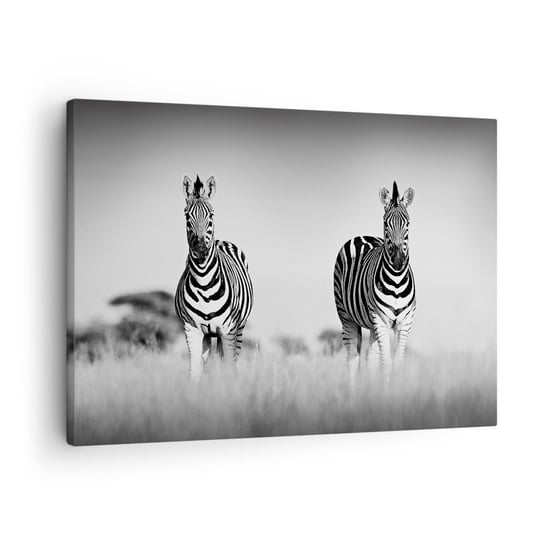 Obraz na płótnie - A jednak świat jest czarno-biały - 70x50cm - Zwierzęta Zebra Czarno-Biały - Nowoczesny Canvas obraz do salonu do sypialni ARTTOR ARTTOR