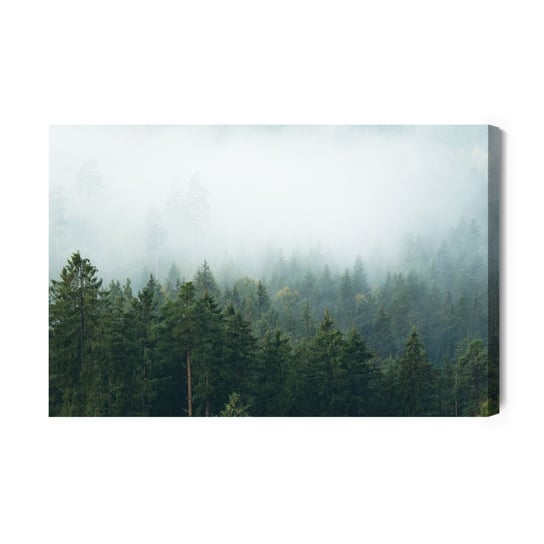 Obraz Na Płótnie Amazing Mystical Rising Fog Forest Trees Landscape In Black Forest ( Schwarzwald ) Germany Panorama Banner - Da Inna marka