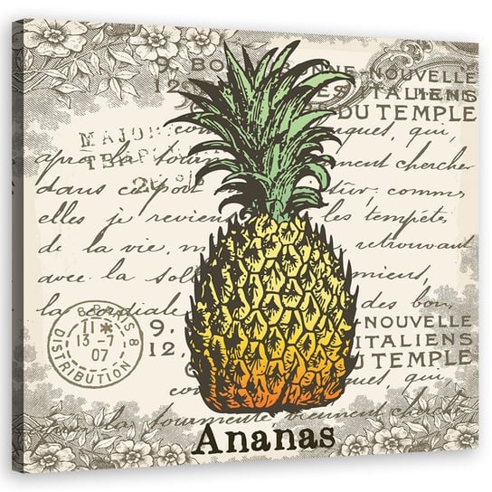 Obraz Na Płótnie, Ananas Vintage - 50X50 Pozostali producenci