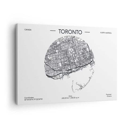 Obraz na płótnie - Anatomia Toronto - 70x50cm - Mapa Toronto Kanada - Nowoczesny Canvas obraz do salonu do sypialni ARTTOR ARTTOR