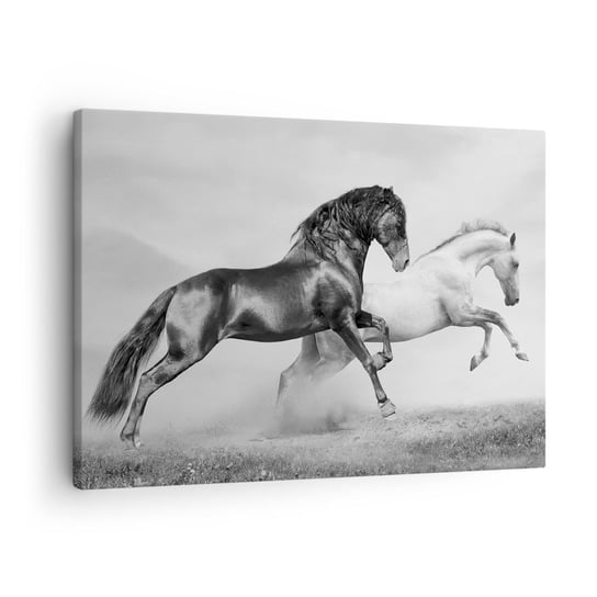 Obraz na płótnie - Anioły i demony - 70x50cm - Zwierzęta Konie Natura - Nowoczesny Canvas obraz do salonu do sypialni ARTTOR ARTTOR